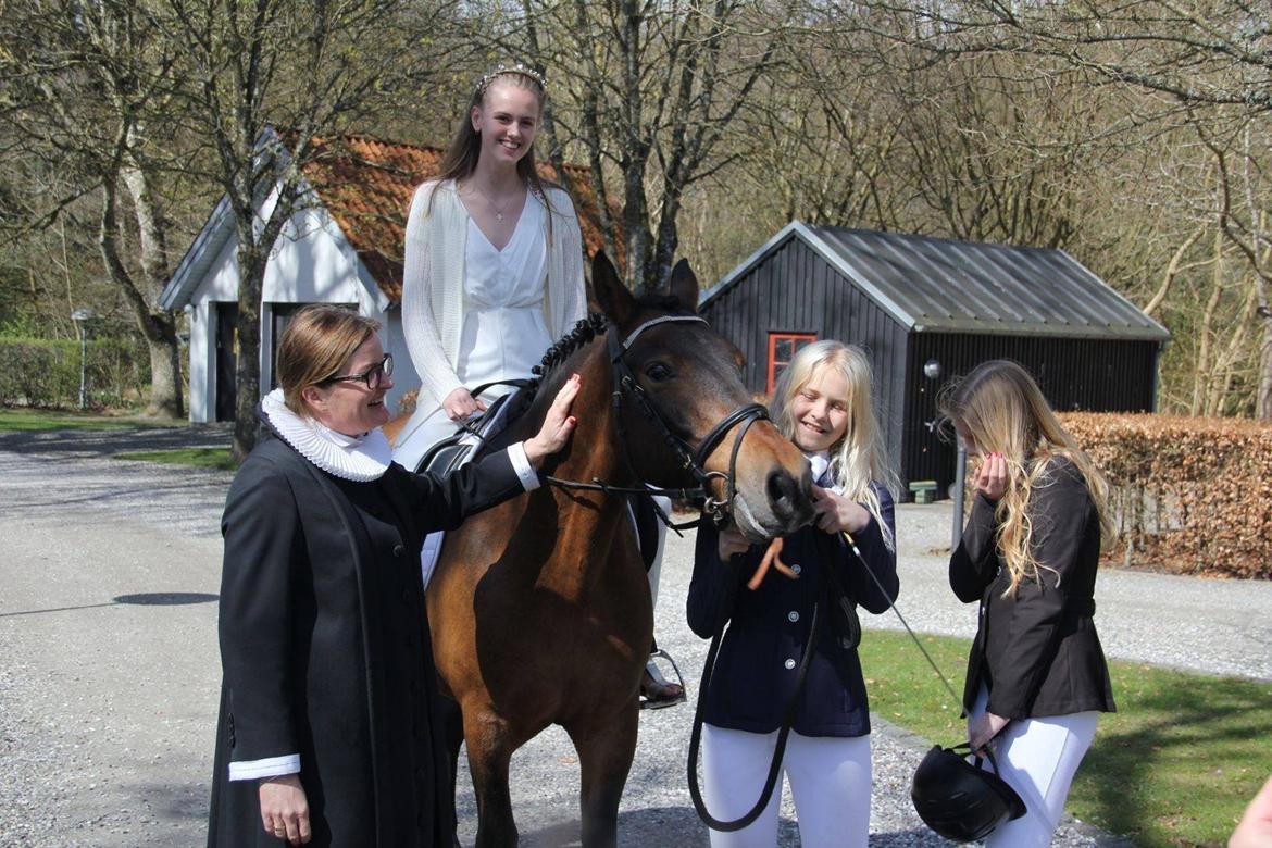 Anden særlig race Shja-shje billede 13