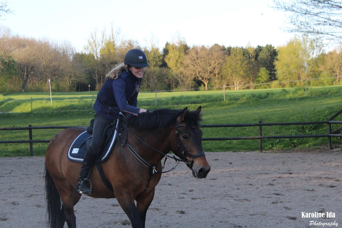 Anden særlig race Shja-shje billede 7