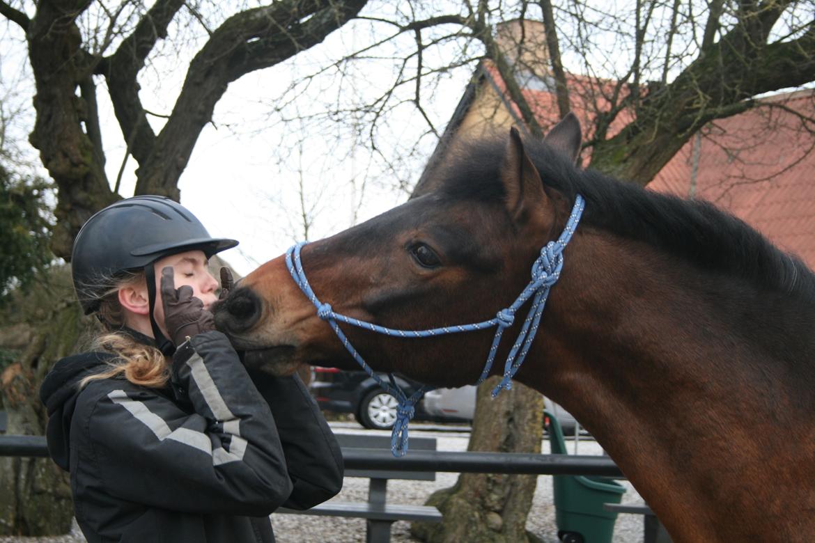 Anden særlig race Shja-shje - Kyssetricket har vi næsten osse:D billede 16