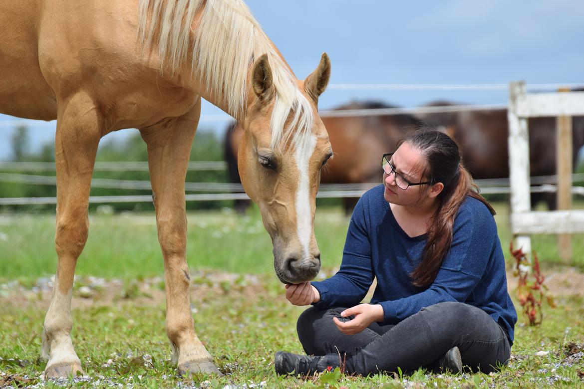 Palomino Kvolsbæk's Exclusive Enya billede 3