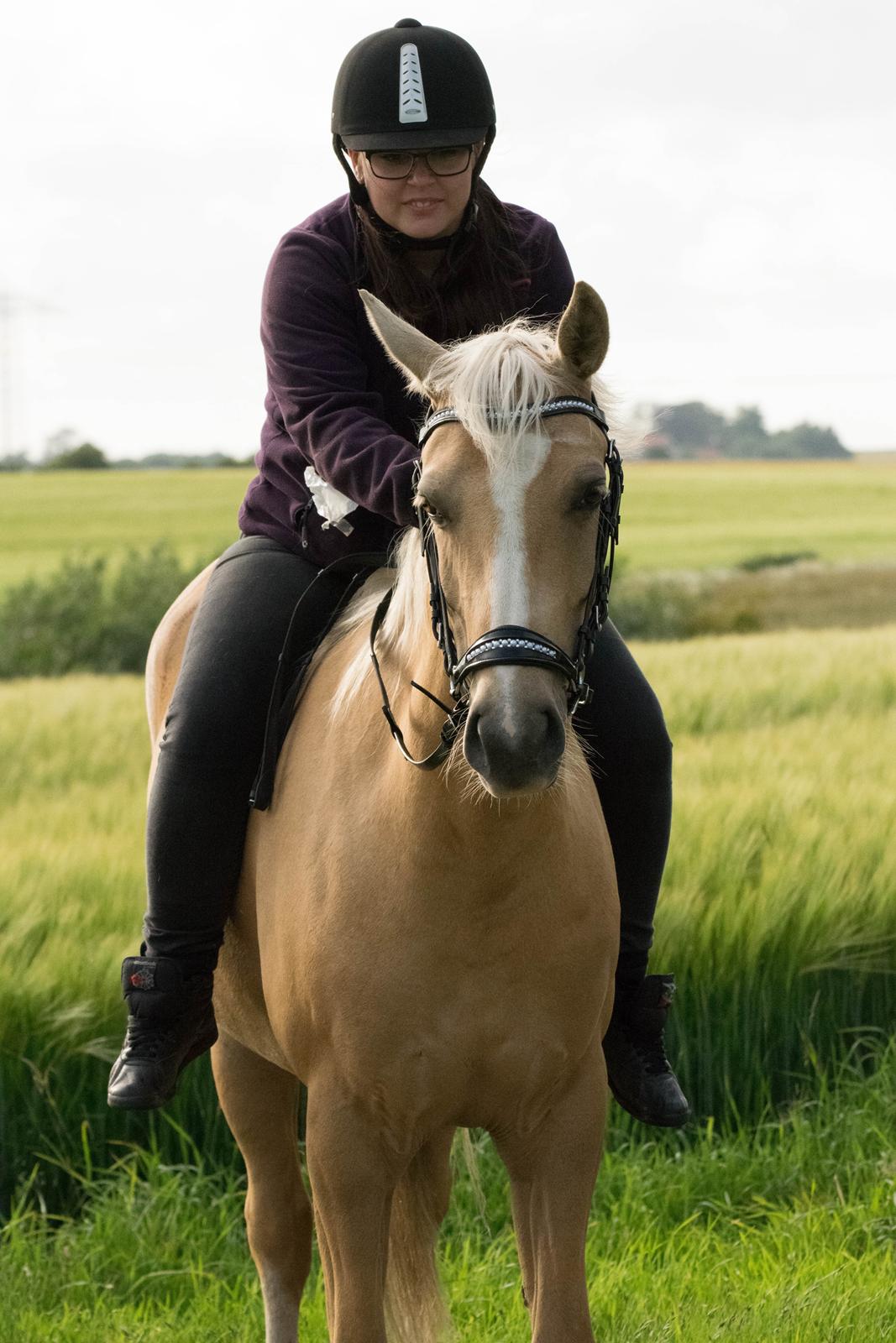 Palomino Kvolsbæk's Exclusive Enya - Første gang på ryggen udenfor banen og så endda uden sadel <3 billede 9