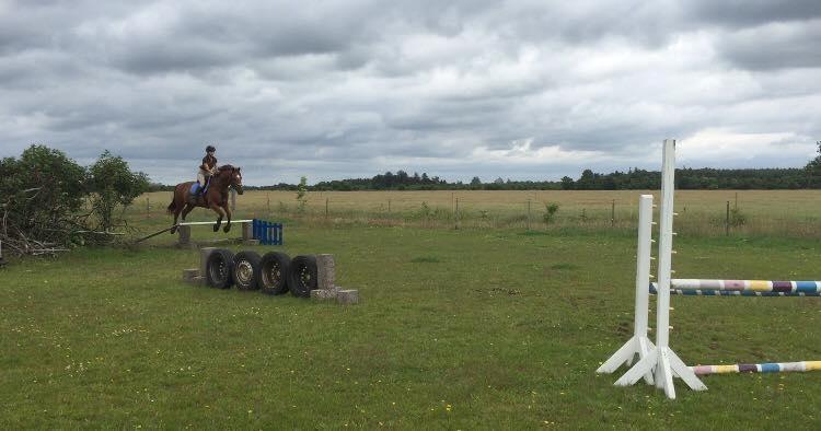 Anden særlig race Djibsi May - 2. Gang jeg sprang på hende :D billede 7