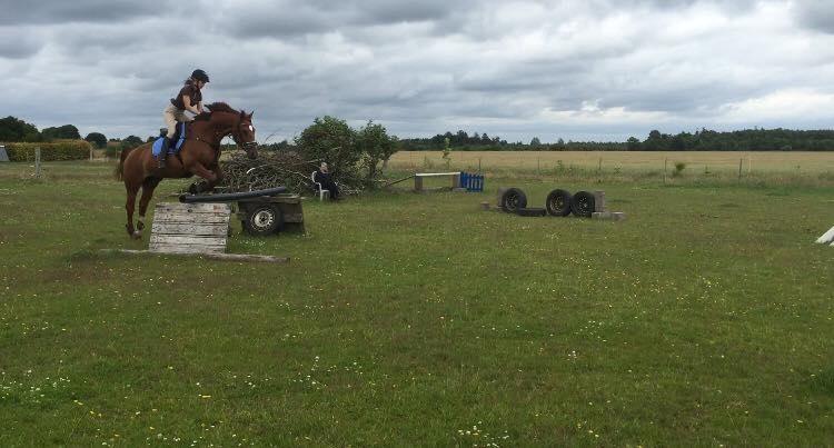 Anden særlig race Djibsi May - 2. Gang jeg sprang på hende :D billede 9