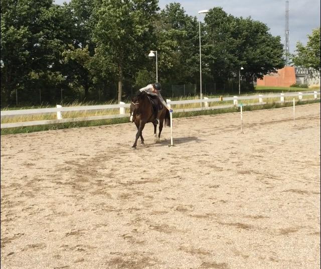 Oldenborg Højskovens Tinto  - Ponygames i fuld fart, ka' vi også billede 15