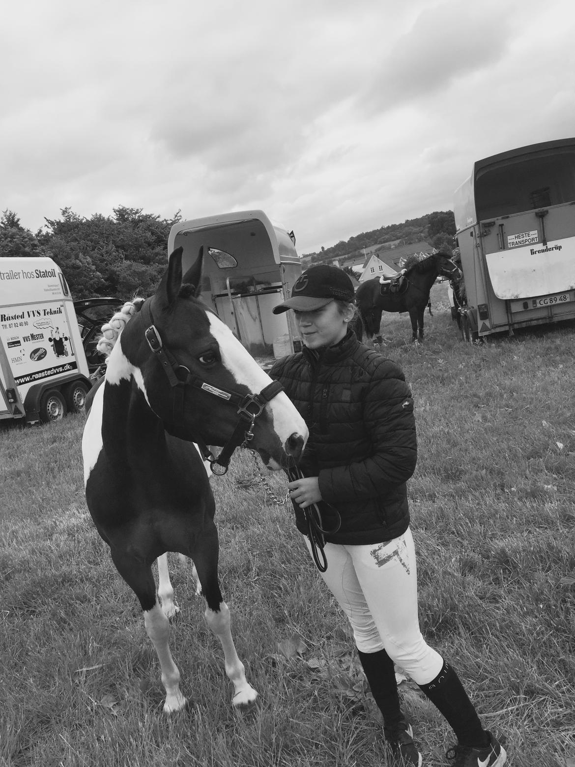 DSP Lady Ammador<3 - B-PONY - Kongsdal Rideklub 2016 billede 22