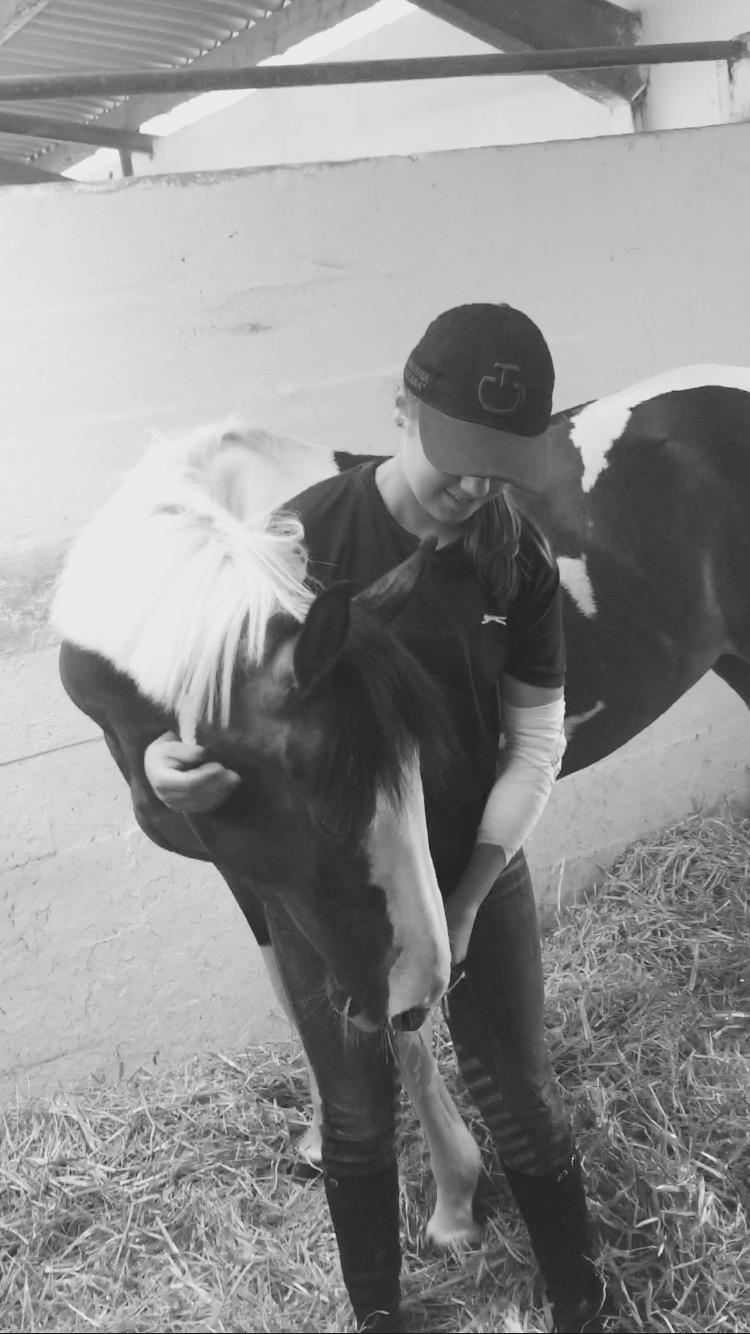 DSP Lady Ammador<3 - B-PONY - Hun er dejliig billede 23