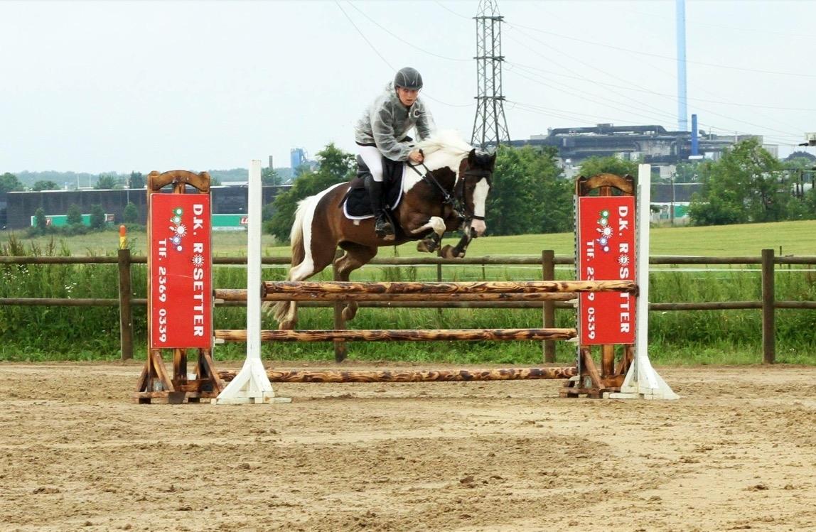 DSP Lady Ammador<3 - B-PONY - LA** - Boller Rideklub billede 17