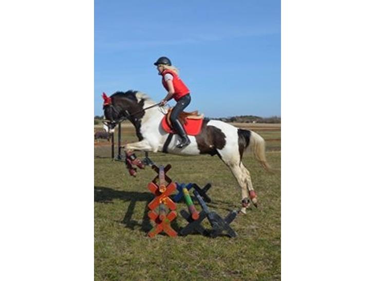 {{currentPhoto.altText}} billede {{currentPhoto.number}}