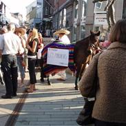 New Forest Loke Charmour Tornando R.I.P. 14/4 - 2011