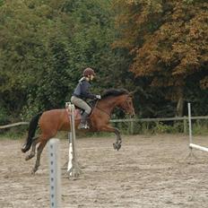 Anden særlig race Kally * R.I.P* 19/3-08 <3