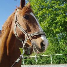 Frederiksborg Mette (død)