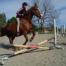 Frederiksborg Mette (død)