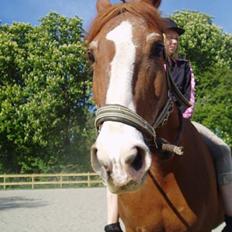 Frederiksborg Mette (død)