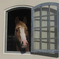 DSP Friis Jesse Bell 