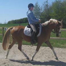 DSP Friis Jesse Bell 