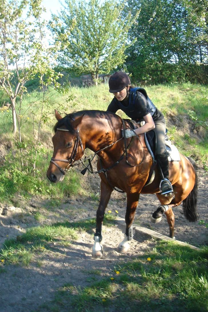 Anden særlig race Kally * R.I.P* 19/3-08 <3 - Op af vandgraven, vi kom.. næsten flydende.. ups.. :P billede 4