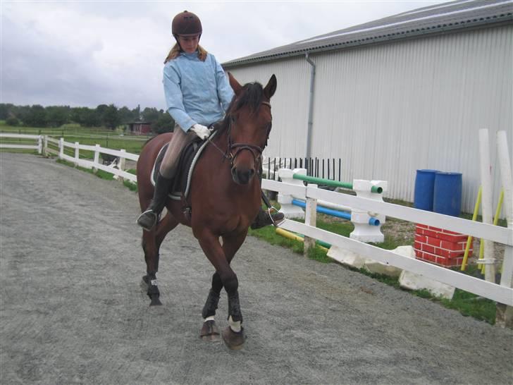 Anden særlig race Kally * R.I.P* 19/3-08 <3 - Shenkelvigning! .. jeg sidder godt nok skævt!  Men dette er fra Danmarks våde sommer.. :S Men vi er blevet en hel del bedere.. :) Skal nok få taget et billed.. :) billede 7