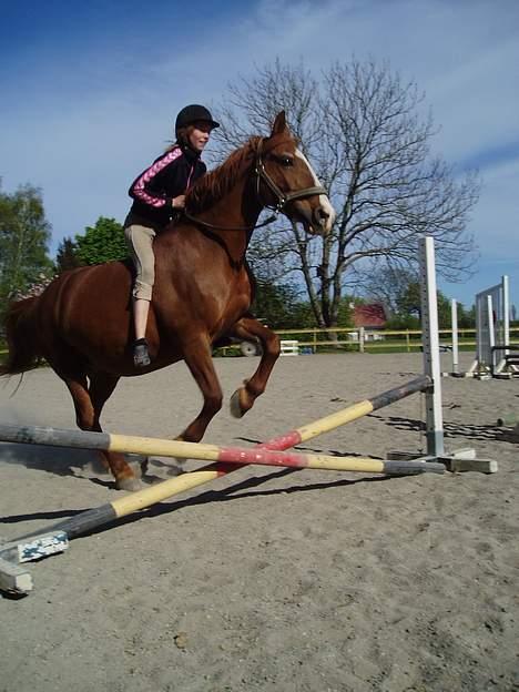 Frederiksborg Mette (død) billede 2
