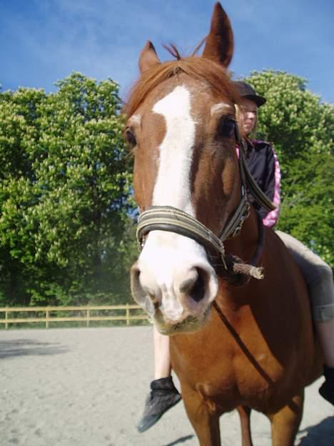 Frederiksborg Mette (død) billede 3