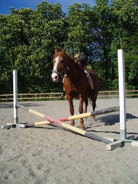 Frederiksborg Mette (død) - "Okay , hvor meget er budet nu for at jeg springer ? Hører jeg 10 gulerødder??"! billede 8