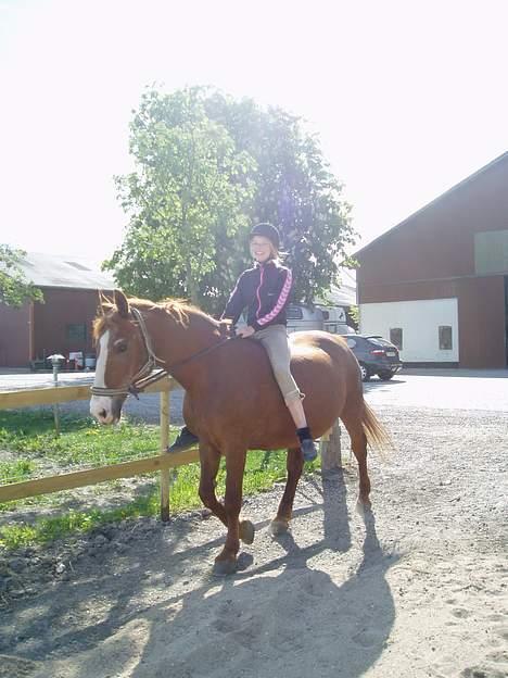 Frederiksborg Mette (død) billede 9