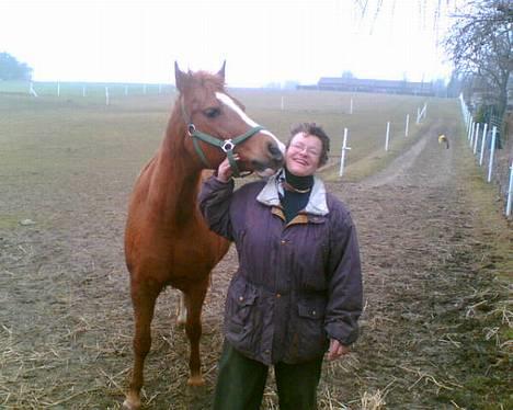 Anden særlig race cheval (R.I.P) - cheval og hans "bonusmoar" billede 1