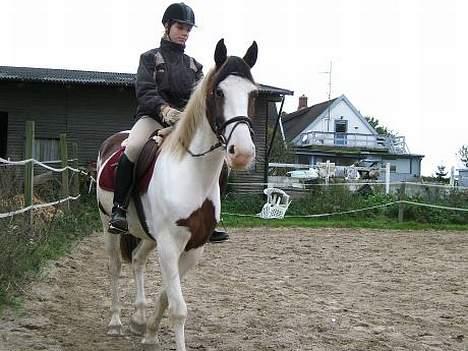 Anden særlig race Bronco - solgt. - Bronco & jeg, første gang jeg red ham (: billede 8