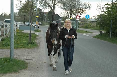 Pinto Joy the boy billede 11