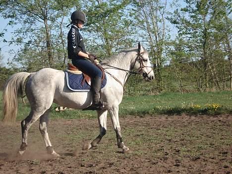 Anden særlig race Irish Delicious(SOLGT) :( - første gang derhjemme billede 15