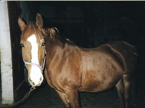 Frederiksborg Mette (død) billede 10