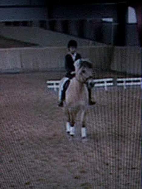 Fjordhest Jonas død - Jonas og rie billede 16