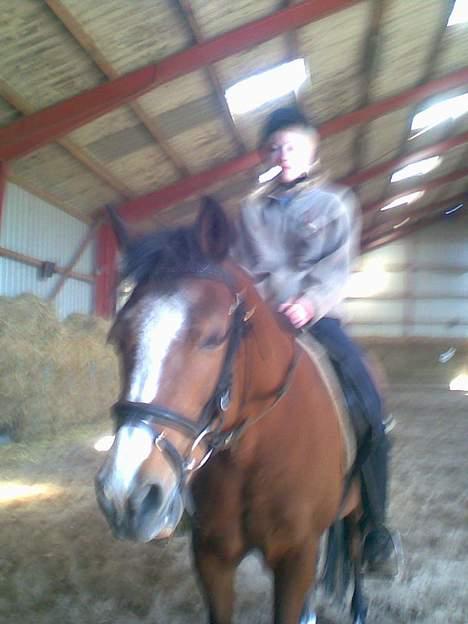 Anden særlig race sissi victoria billede 8