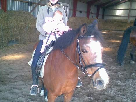 Anden særlig race sissi victoria billede 9