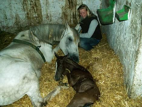 Anden særlig race Rafaell Af Egehøj R.I.P - Hej siger mor.. billede 4