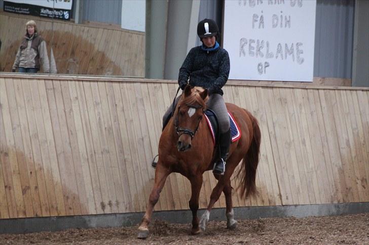 Anden særlig race fighter <3 billede 10