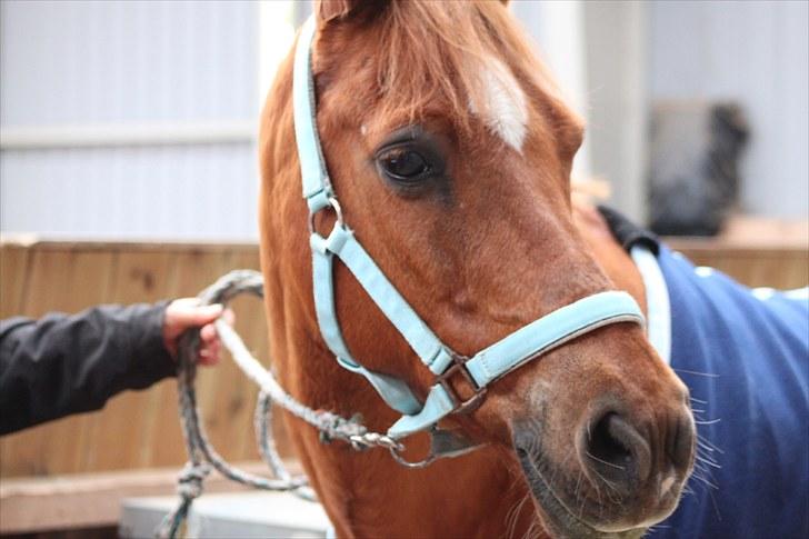 Anden særlig race fighter <3 billede 11