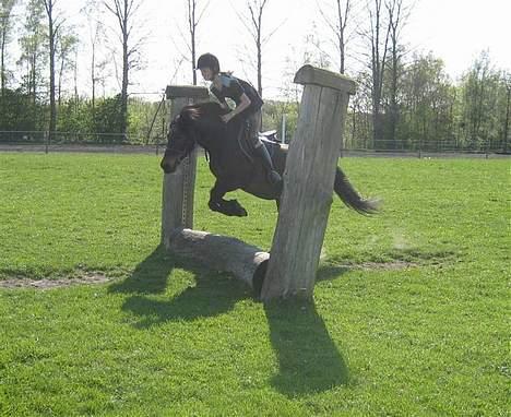 Anden særlig race *Wendy*   billede 15