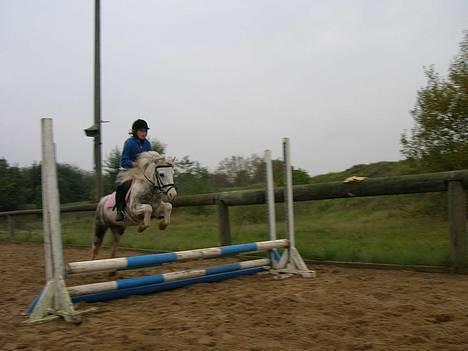 Anden særlig race Daisy - Springtræning i malling 2006 el 2007? kan ikke helt huske det (: billede 4