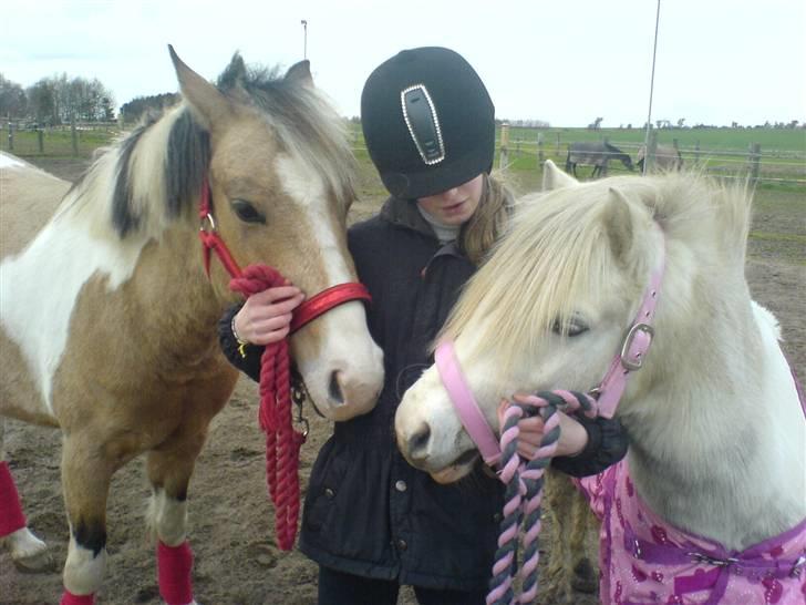 Anden særlig race Daisy - Daisy, Leviosa og jeg (: billede 7