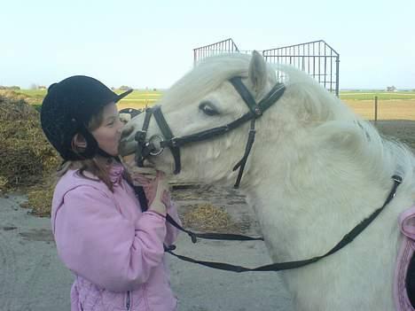 Anden særlig race Daisy - Hvis jeg var en sommerfugl, så var hun solens stråler, der varmede mine vinger. hvis jeg var faret vild i skoven, var hun stjernerne for oven, der viste mig vej, min sti finder (L) billede 8