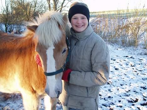 Tyroler Haflinger Soleila - Solgt billede 7