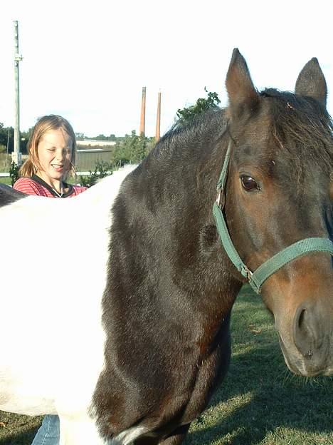 Pinto Solvej †   - Alt er muligt  Hvis bare vi tror  Ikke på det guddommelige  Men bare på hinanden.  billede 11