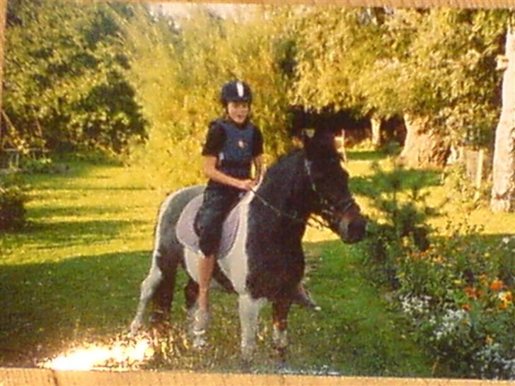 Pinto Solvej †   - Vi kan vinde verden  Hvis bare vi tror  Vi kan blive lykkelige altid  billede 12