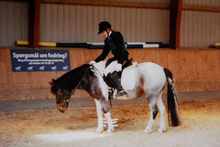 Pinto Solvej †   - Hvis bare vi tror  Vi kan få et bedre liv  Hvis bare vi tror   billede 13