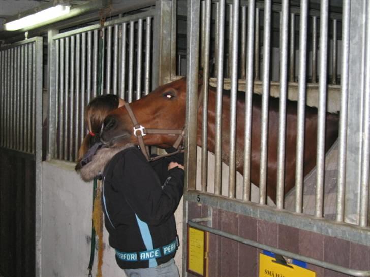 Anden særlig race Kally * R.I.P* 19/3-08 <3 - ¤Nyt!¤  Da vi var oppe og besøge Kally, anden sidste gang, efter at han var blevet operaret... Han livede helt op, og små vrinskede da vi kom! :´)  Og da jeg skulle gå lagde han hovedet sådanne, vi stod sådanne i 8 min. Og han faldt helt i søvn.. billede 10
