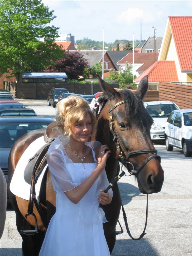 Pinto Whitney - Glemmer ALDRIG den dag Whitney<3 billede 17