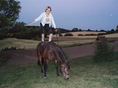 New Forest Loke Charmour Tornando  R.I.P. 14/4 - 2011 - Akrobatik... Da jeg næsten lige havde købt ham i 2006 billede 9