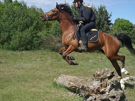 Anden særlig race  Jasmin <,3  - forår 2005 billede 19