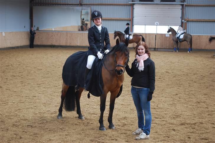 DSP Lanciano kærlund (solgt) - På besøg hos Emma til stævne i frederikshavn.. :D billede 19