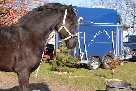 Frieser Hotse - † R.I.P † - Den smukke dreng! (Foto: AP) billede 17